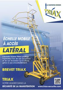 Flyer safety mobile ladder with lateral access