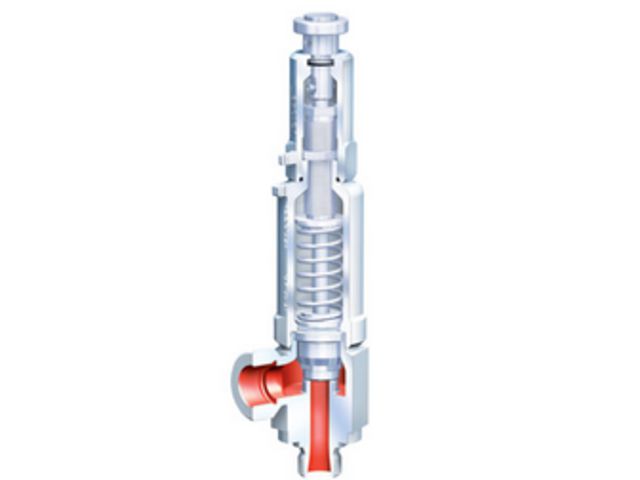 safety valve : ARI-SAFE TCS