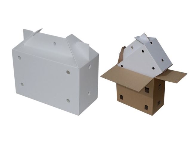 Transport box for cats