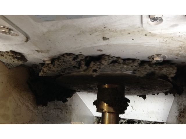 Scew press for sludge dewatering | Contact AKIS