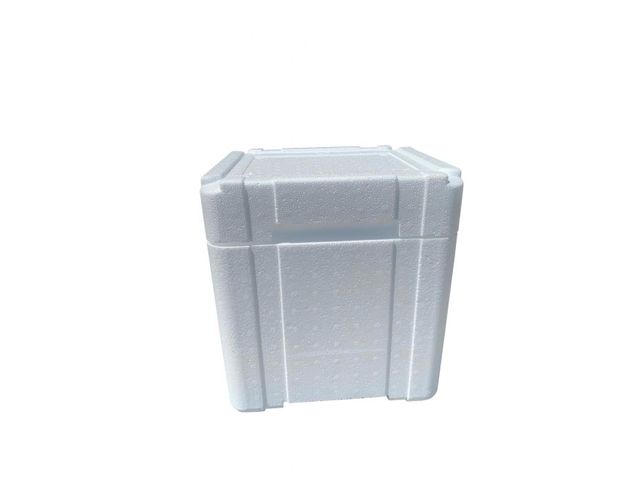Green Styrofoam Thermal Box