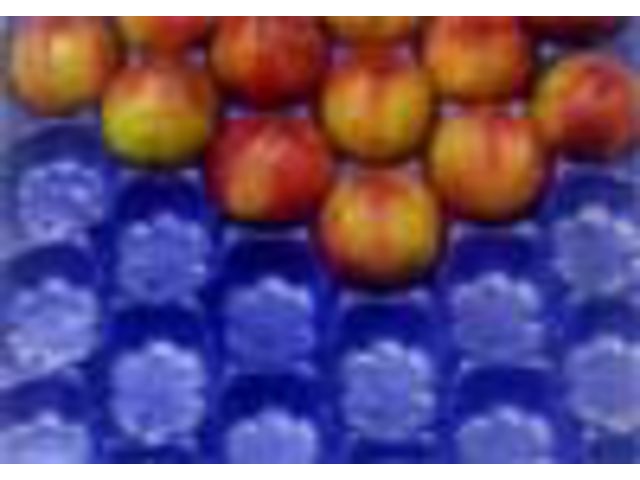 PSE Peaches - Nectarines