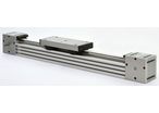 Belt driven linear actuator | DLS 