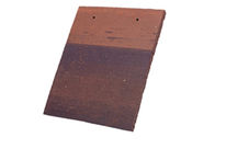 Roof Tiles Vieux Paris