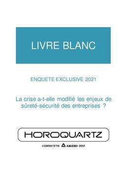 White Paper : The challenges of the crisis on corporate safety and security