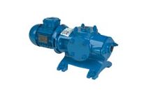 Compact progressing cavity pump