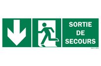 Emergency exit sign + picto + down arrow on both sides