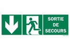 Emergency exit sign + picto + down arrow on both sides