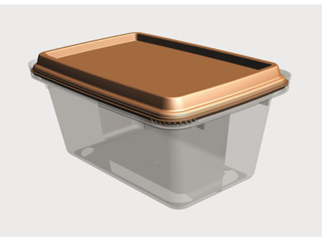 Rectangular injected plastic box with a tamper evident closure for ice cream, butter, dairy product, fruit, vegetable, sauce, soft margarine, meat, deli…
