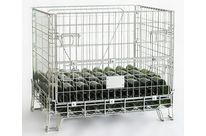 Wire container | BURGUNDY 500