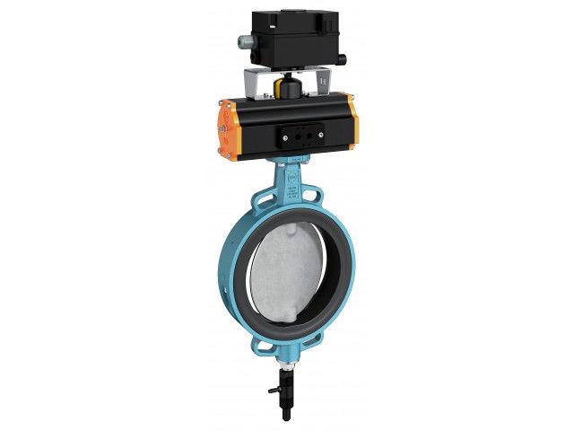 Vibration / Dosing valve ViDos