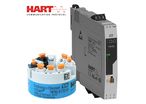Temperature transmitter  | iTEMP TMT82 HART® 7 