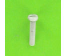Metal Screws : Round Head - Slotted Cheese Head, DIN 84 - Clear OA Aluminium