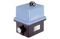 Electric rotary actuator : Type 3003