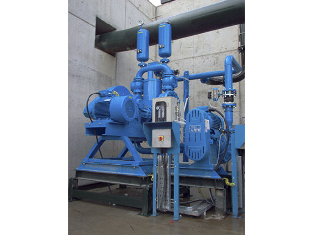 Pumps- Diemme® Filtration