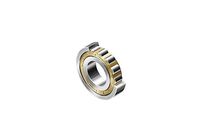 Roller Bearing