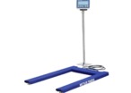 BSA Pallet Weighing Solution