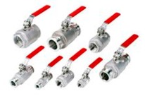 IBV16MKS Ball Valve NW16