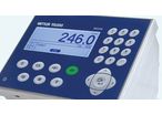 IND246 Weighing Terminal