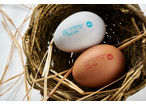 Inkjet printer improves coding-related uptime and traceability in egg market