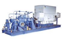 Multi-stage process pump: 3600