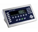 IND690 Weighing Terminals