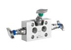 Manifold and valves