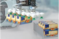 Vacuum End Effectors VEE