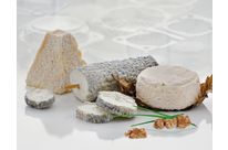 Cheeses &amp;amp; dairy products