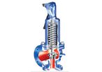 Safety valve : ARI-SAFE-ANSI