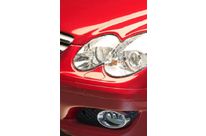 Flame-proofing agents - swelling agents (Thermoplastics)