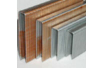 Staples Senco N G5562 - M2 - 45mm : AgM245