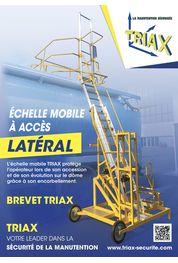 Flyer safety mobile ladder with lateral access
