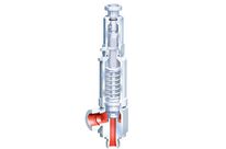safety valve : ARI-SAFE TCS