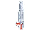 safety valve : ARI-SAFE TCS