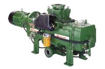 CDX1000 Dry Vacuum Pump, 40 HP, 60 Hz, Flame Proof with Integral Flame Arrestors