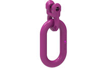 ICE-End links IA-RG / IB-RG