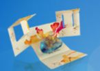 Perfume Box Fitments