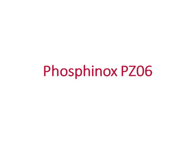 Basic Zinc Phosphate - PHOSPHINOX PZ06