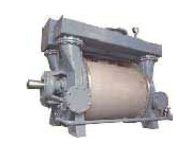 LR1A19000 Liquid Ring Pump