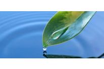 Ecoseal Environmental Roofing System