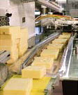 Cheese and Dairy Products