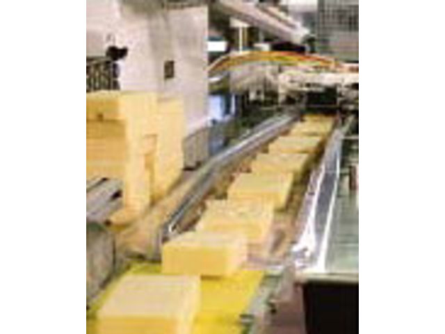 Cheese and Dairy Products