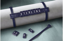 Identification System PLIO PP MDE sensitive to metal detectors