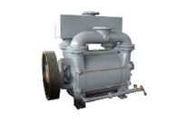 LR1A1600 Liquid Ring Pump