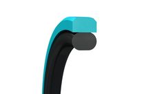 Piston Seals Turcon Glyd Ring