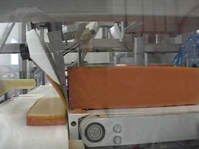 Automatic cutting line for slices
