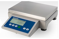 Standard ICS425 Scale