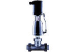 Sanitary valves