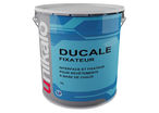 Micro silicium fixer for mineral surfaces : DUCALE FIXER